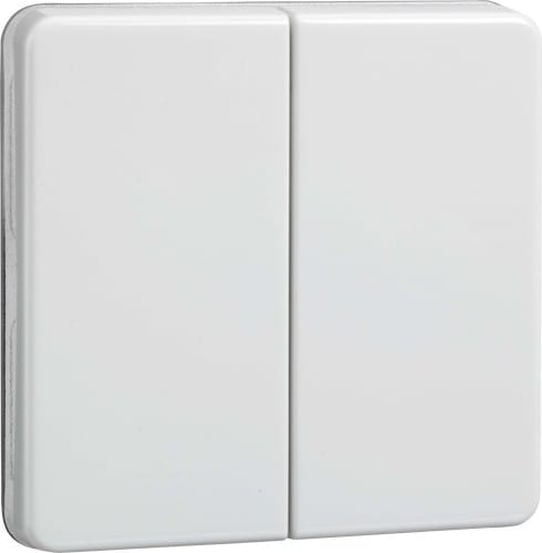 Elso Wippe rw Serie u.Doppeltaster 233504 - 233504