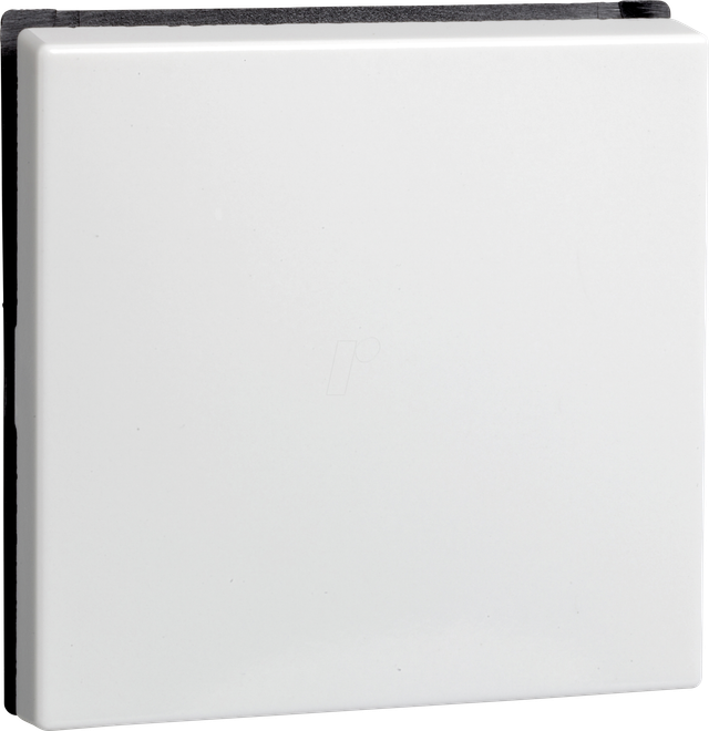 Elso Wippe rws f.Uni.Schalt./Tast. 273604 - 273604