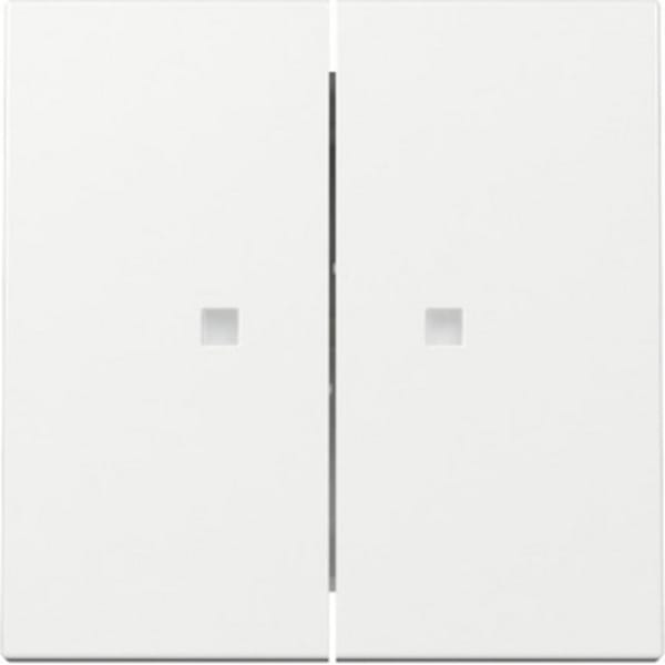 Gira Wippe 2f Kontrollf. Reinweiß 363103 - 363103