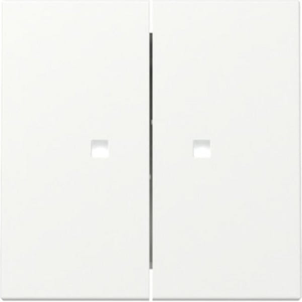 Gira Wippe 2f Kontrollf. Reinweiß m 363127 - 363127
