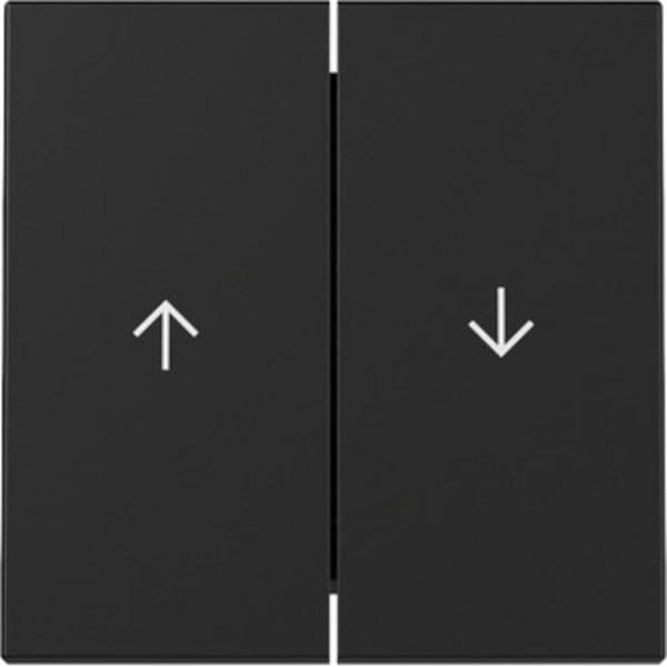 Gira Wippe 2f Pfeil Schwarz m 3294005 - 3294005