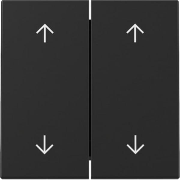Gira Wippe 2f Pfeile Schwarz m 3297005 - 3297005