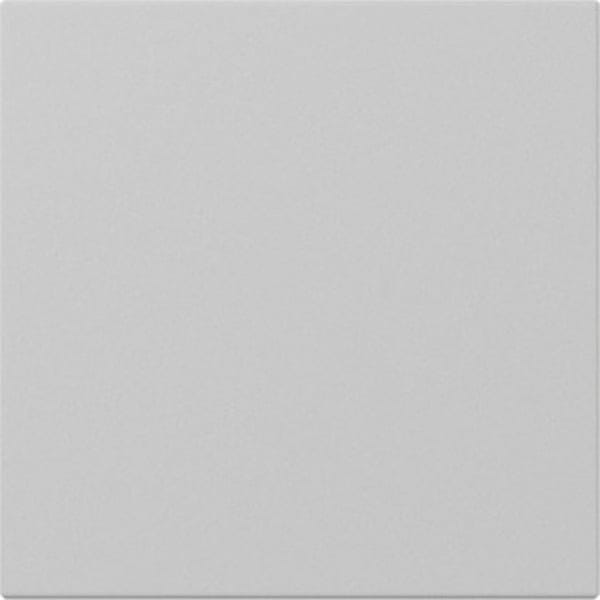 Gira Wippe gerade Grau m 3496015 - 3496015
