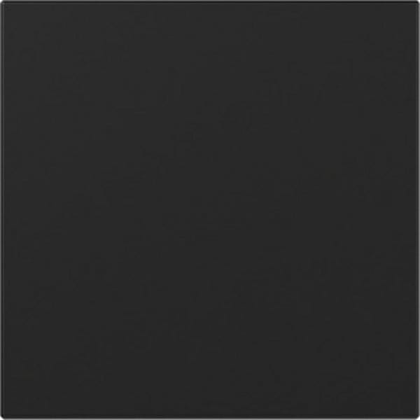 Gira Wippe gerade Schwarz m 3496005 - 3496005