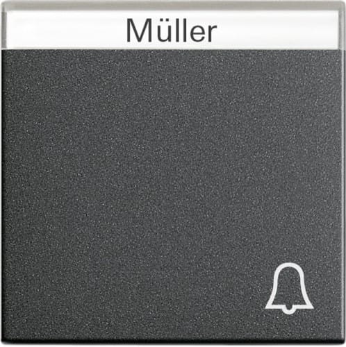 Gira Wippe Klingel anth m.Schriftf.,System55 067328 - 067328