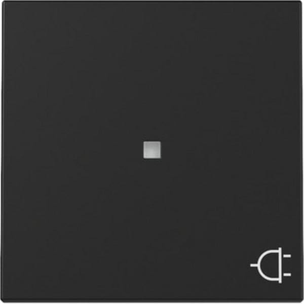 Gira Wippe Kontrollf. + Symb. Steckd. Schwarz m 3291005 - 3291005