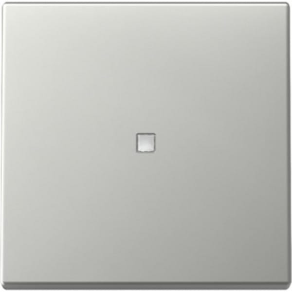 Gira Wippe Kontrollf. Edelstahl 3290600 - 3290600