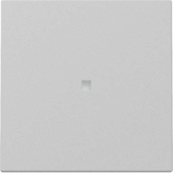 Gira Wippe Kontrollf. Grau m 3290015 - 3290015