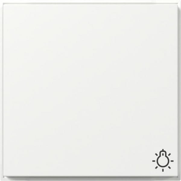 Gira Wippe Symb. Licht (WG UP) Reinweiß 328566 - 328566