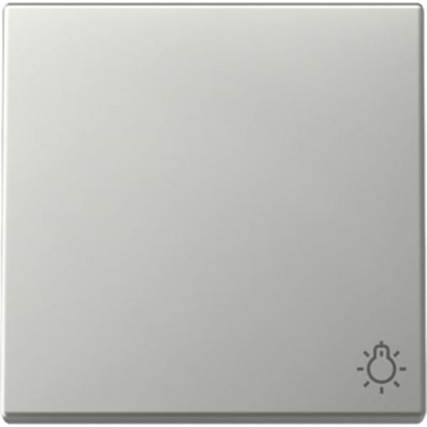 Gira Wippe Symb. Licht Edelstahl 3285600 - 3285600