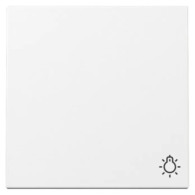 Gira Wippe Symb. Licht Reinweiß 328503 - 328503