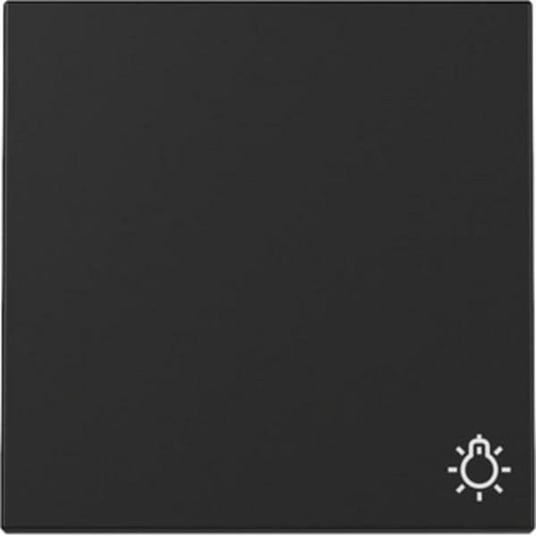 Gira Wippe Symb. Licht Schwarz m 3285005 - 3285005