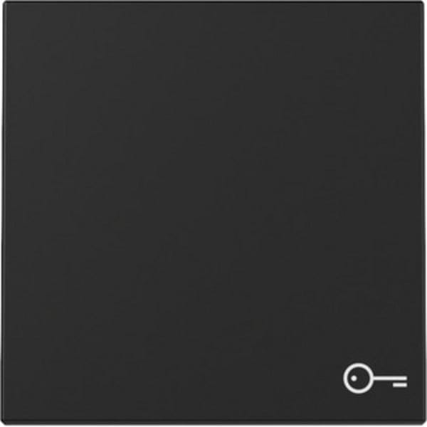 Gira Wippe Symb. Tür Schwarz m 3287005 - 3287005