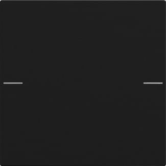 Gira Wippenset 1f Tastsens.4 Schwarz m 5751005 - 5751005