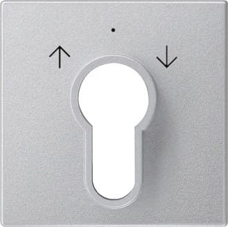 Gira Zentralpl. Schlüssel. alu System55 066426 - 066426
