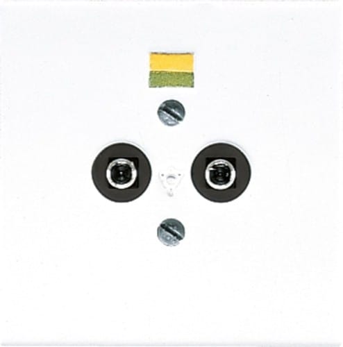 Jung Potential-Ausgl.Steckdose 2 Steckerstifte LS 965-2 WW - LS965-2WW