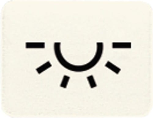 Jung Symbol ws LICHT 33 L - 33L