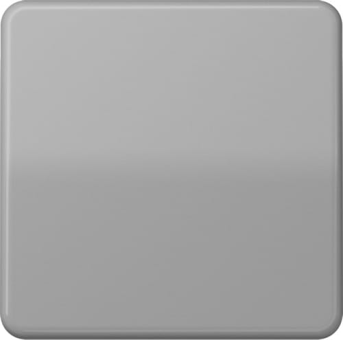 Jung Wippe gr für Taster CD 590 - CD590GR