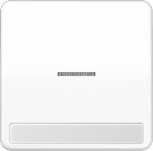 Jung Wippe Licht./Schriftf.aws für Taster CD 590 NAKO5 WW - CD590NAKO5WW
