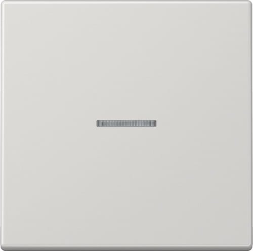 Jung Wippe Lichtleiter lgr für Schalter/Taster LS 990 KO5 LG - LS990KO5LG