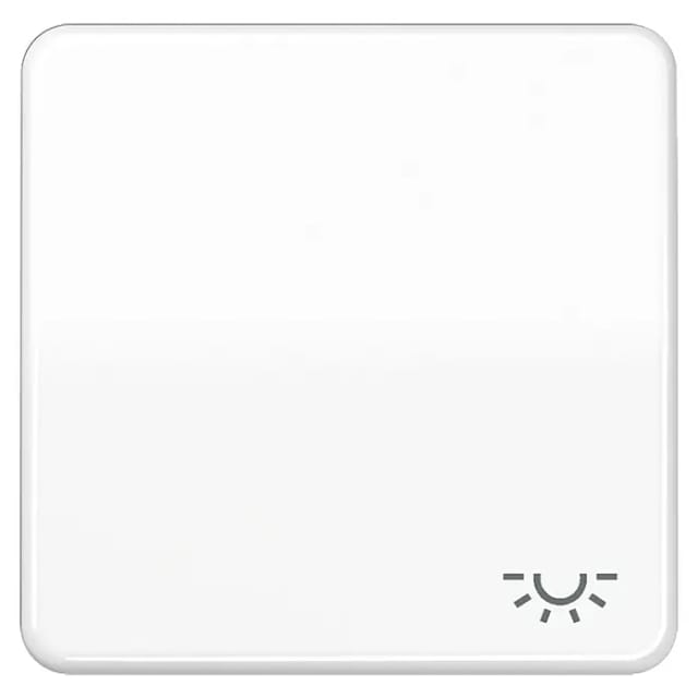 Jung Wippe Symbol LICHT aws für Taster CD 590 L WW - CD590LWW