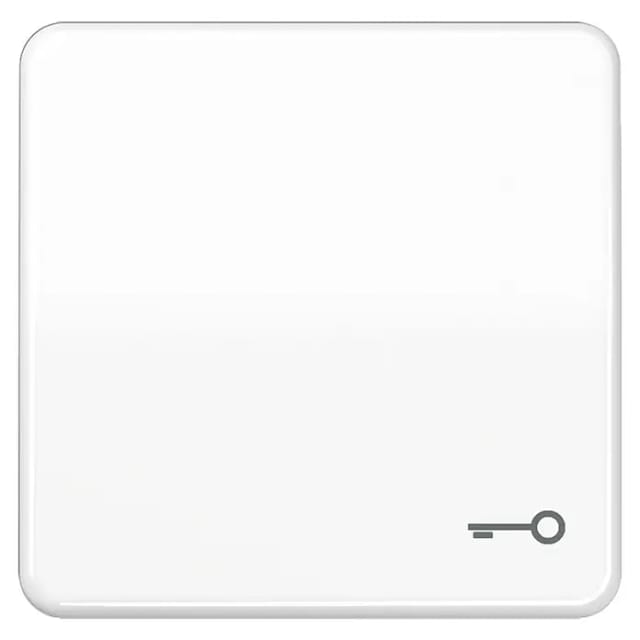 Jung Wippe Symbol TÜR aws für Taster CD 590 T WW - CD590TWW