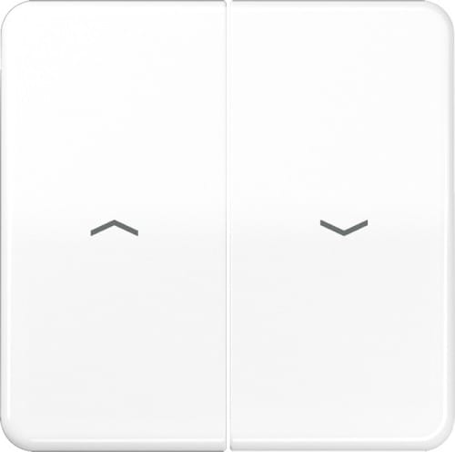 Jung Wippe Symbole aws für Jal.Schalter CD 595 PBF WW - CD595PBFWW