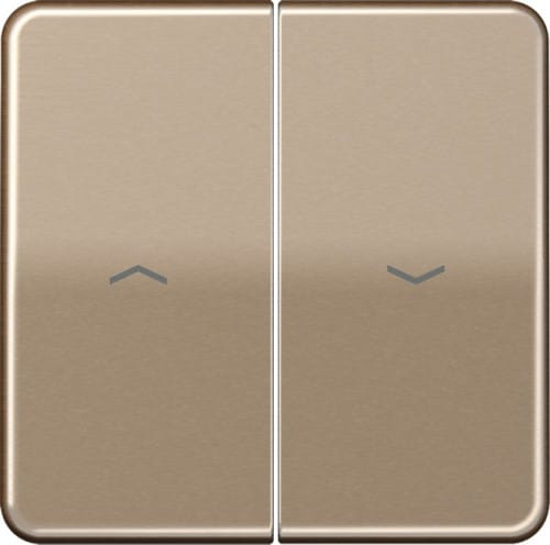 Jung Wippe Symbole gold brz für Taster CD 595 P GB - CD595PGB