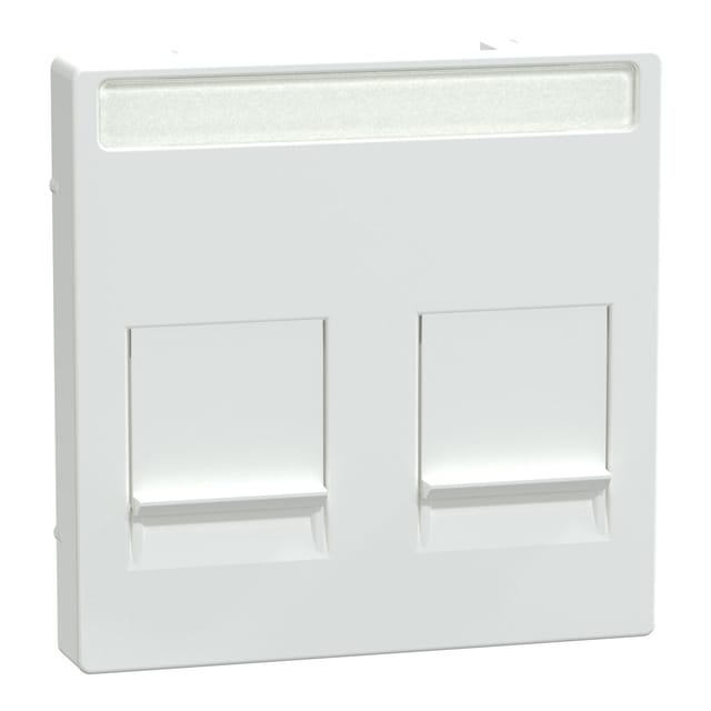 Merten Zentralplatte 2f.akws/gl f.Mod.Jack Schr.feld MEG4564-0325 - MEG4564-0325