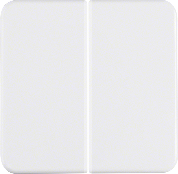 Berker Wippe pws/gl IP44 155209