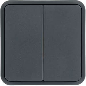 Berker Wippe 2-fach, grau 30553545