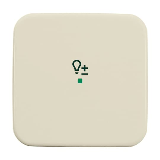 Busch-Jaeger Wippe 1-fach, Symbol Licht weiß 6234-10-212