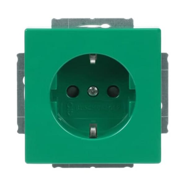 Busch-Jaeger SCHUKO Steckdosen-Einsatz grün RAL6032 20 EUCKS-13-82-101