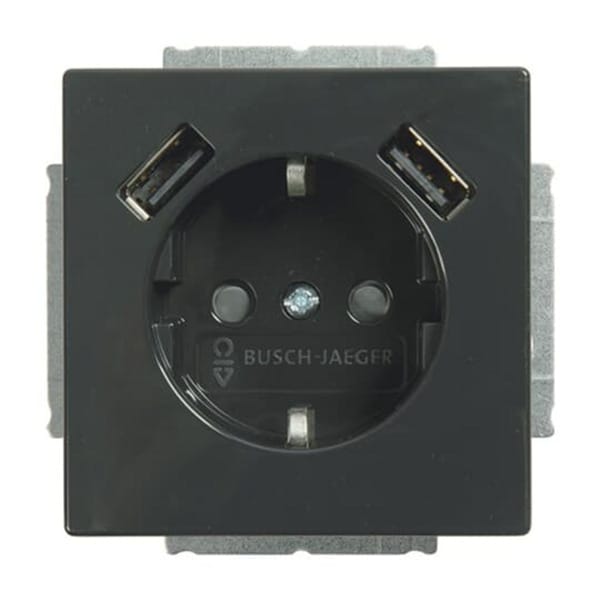 Busch-Jaeger SCHUKO-2x USB Steckdose 20 EUCB2USB-81