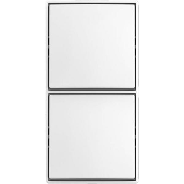 Busch-Jaeger Kombi Schalter/Schalter AP 2601/6/2601/6 APJ524