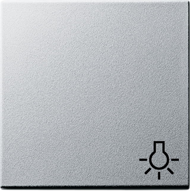 Gira Wippe Licht alu System55 028526