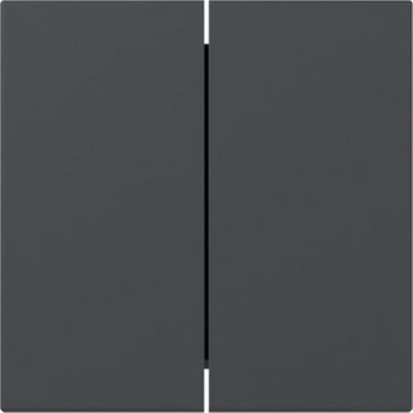 Gira Wippe 2f gerade Anthrazit 349528