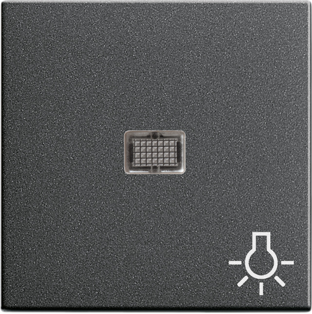 Gira Wippe anth Symbol Licht 063028