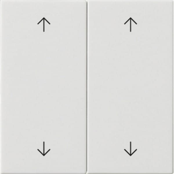 Gira Wippe 2-fach Reinweiß 538703