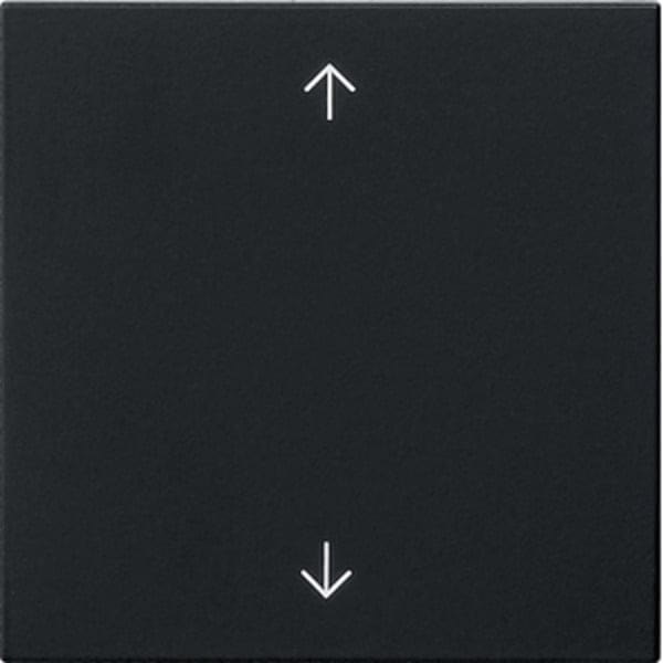 Gira Wippe 1-fach Schwarz 5389005