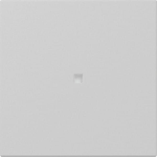 Gira Wippe gerade Kontrollf. Grau m 3490015