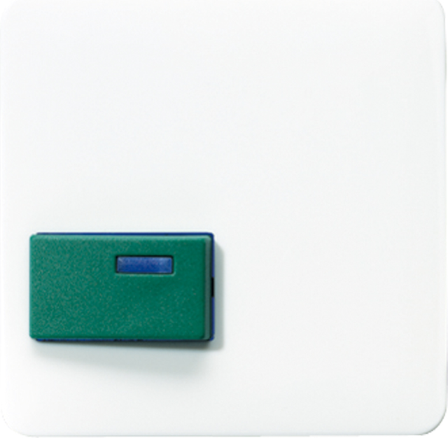 Jung Abdeckung aws für Fab.Ackermann CD 642 C WW