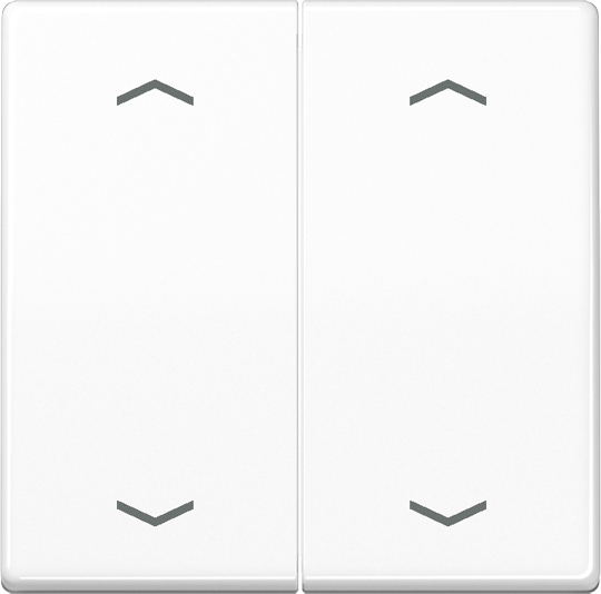 Jung Wippe Symbole aws für Taster AS 591-5 MP WW