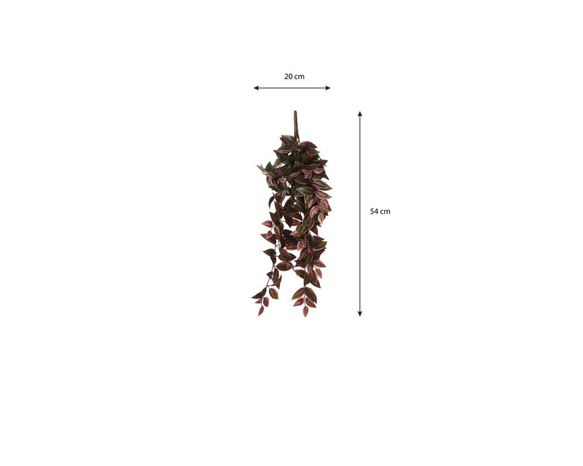 Kunstpflanze Mica Decorations Tradescantia haengend bordeaux - l54xb20xh15cm, Mica Decorations, Höhe 54 cm Bild 3