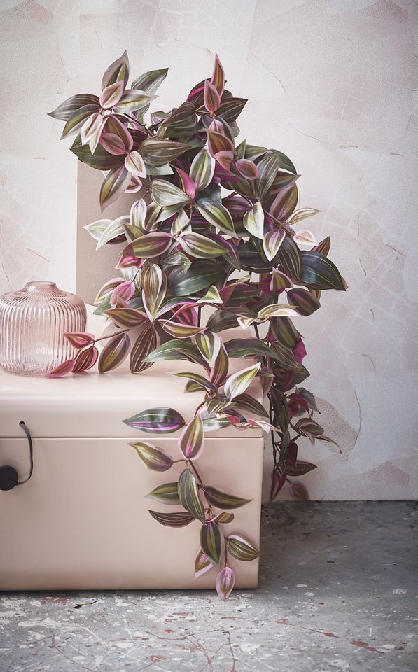 Kunstpflanze Mica Decorations Tradescantia haengend bordeaux - l54xb20xh15cm, Mica Decorations, Höhe 54 cm Bild 4