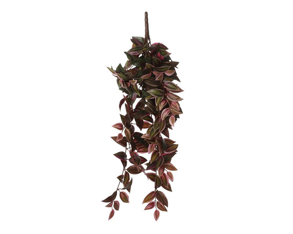 Kunstpflanze Mica Decorations Tradescantia haengend bordeaux - l54xb20xh15cm, Mica Decorations, Höhe 54 cm Bild 5