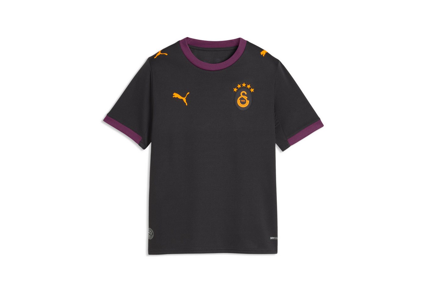 PUMA Fußballtrikot GSK AWAY JERSEY REPLICA JR Bild 2