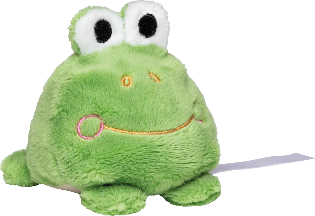 SCHMOOZIES FRO - Display Cleaner Frosch