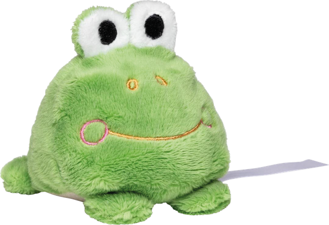 SCHMOOZIES FRO - Display Cleaner Frosch