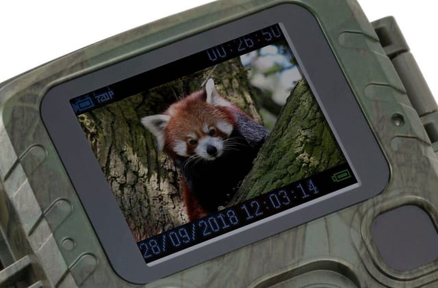 TECHNAXX TX-117 - Überwachungskamera, Mini, zur Wildbeobachtung